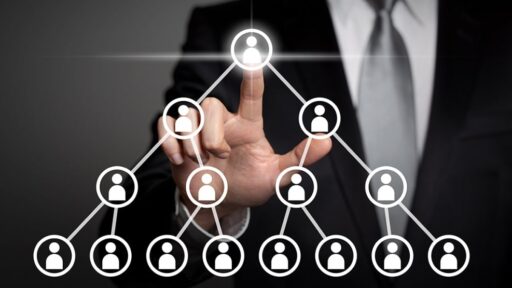 mlm-software-development